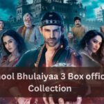 Bhool Bhulaiyaa 3 Box office Collection