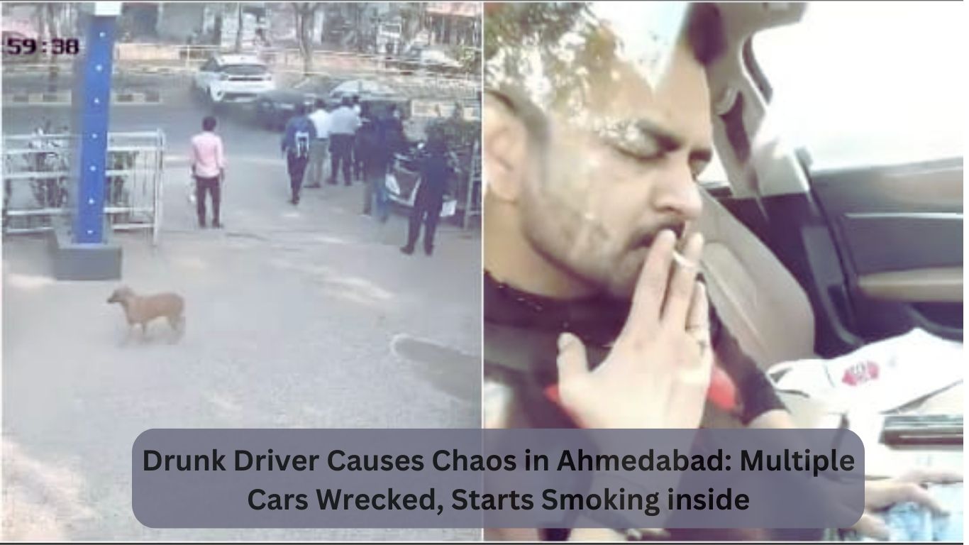 Drunk Driver Causes Chaos